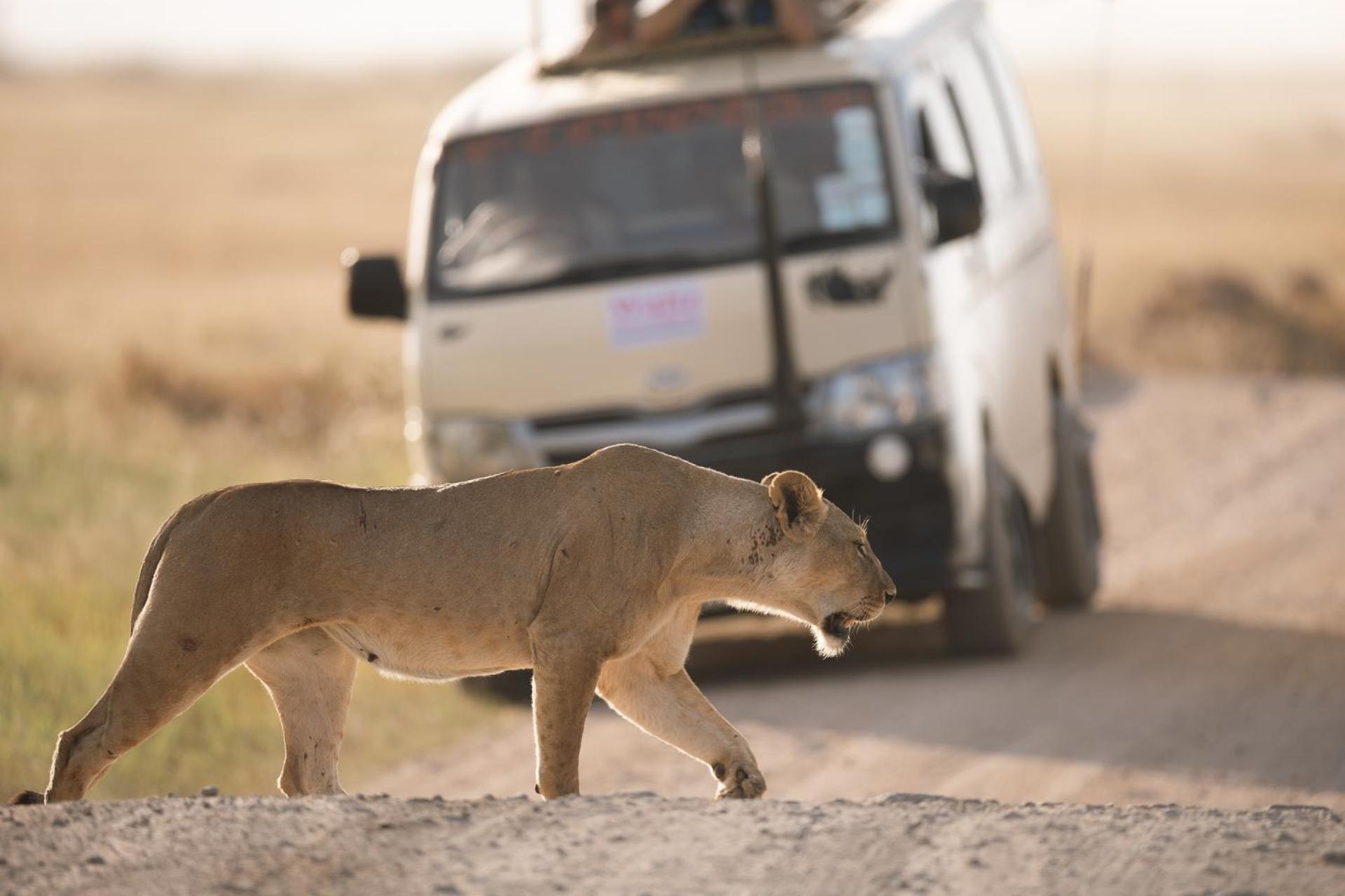 Kilimanjaro View Cabin-Amboseli Oloitokitok 部屋 写真