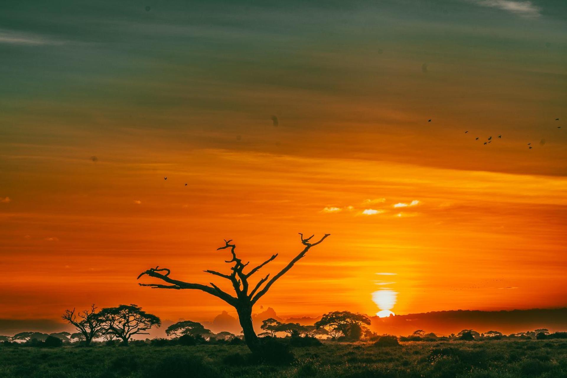 Kilimanjaro View Cabin-Amboseli Oloitokitok 部屋 写真