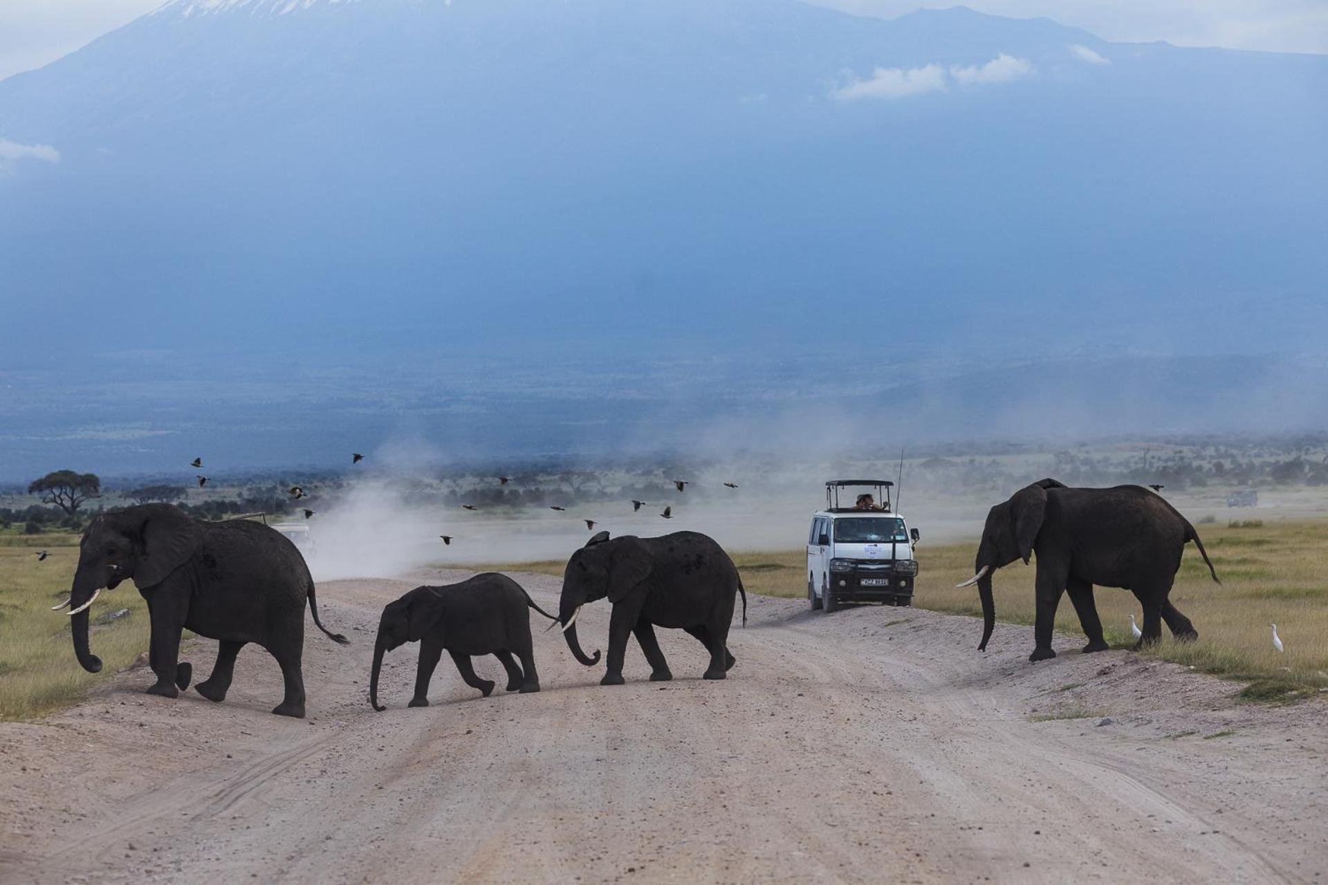 Kilimanjaro View Cabin-Amboseli Oloitokitok 部屋 写真
