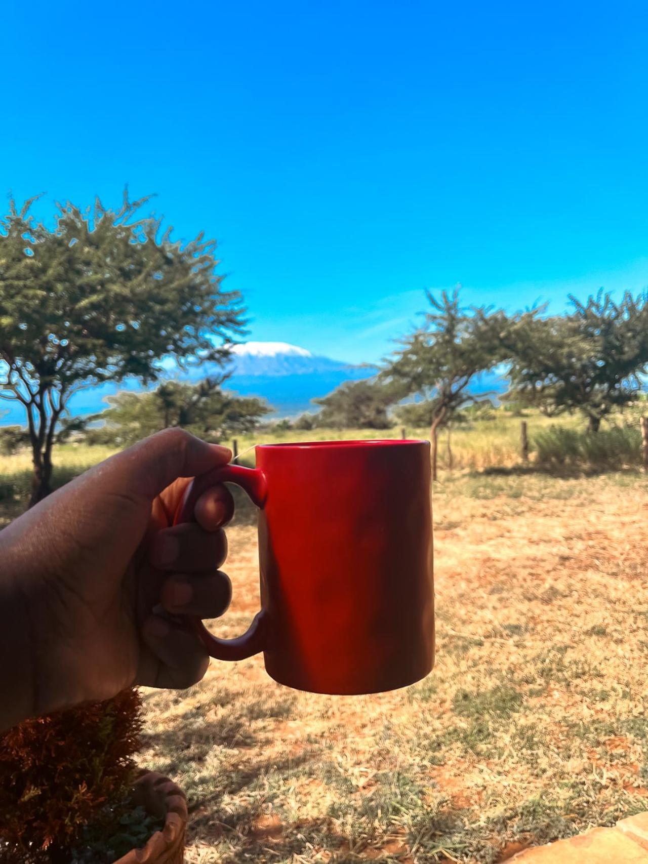 Kilimanjaro View Cabin-Amboseli Oloitokitok 部屋 写真